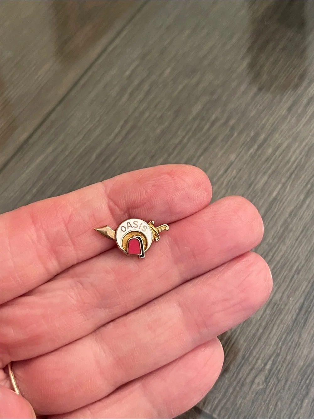 Vintage Masonic Shriners OASIS Gold-tone & Enamel Lapel Pin